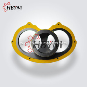 DN260 Wear Plate and Ring